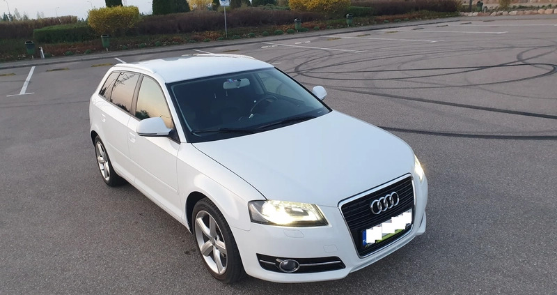 Audi A3 cena 29600 przebieg: 212411, rok produkcji 2008 z Białystok małe 254